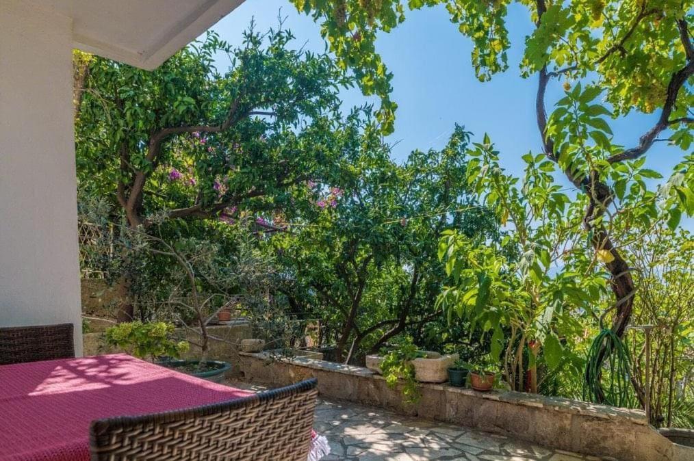 Apartmani Gradac Gradac (Split-Dalmatia) Exterior foto
